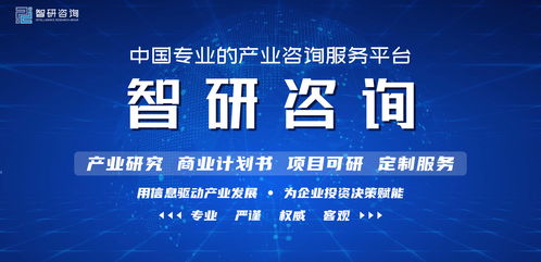 2022-2028年中國金融大數(shù)據(jù)行業(yè)市場深度評估及投資機會預測報告